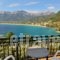 Island View Villa_accommodation_in_Villa_Aegean Islands_Thasos_Limenaria