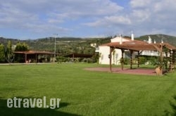 Ktima Xiliadou in Batsi, Andros, Cyclades Islands