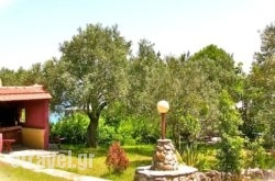 Kyra’s Paradise in Naousa, Imathia, Macedonia