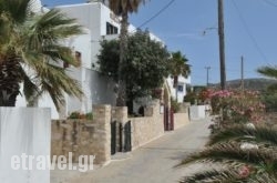 Rallis Apartments in Andros Chora, Andros, Cyclades Islands