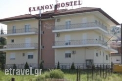 Elanthi Hostel in Kefalonia Rest Areas, Kefalonia, Ionian Islands