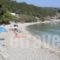 Nikoleta Studios_holidays_in_Hotel_Ionian Islands_Lefkada_Lefkada Chora