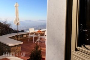 The Lotus Tree Archontiko_travel_packages_in_Thessaly_Magnesia_Paou