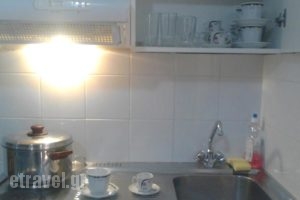 Vitzileos Studios_lowest prices_in_Hotel_Cyclades Islands_Naxos_Naxos chora