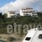 Nora Norita_lowest prices_in_Hotel_Cyclades Islands_Andros_Andros City