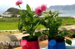 Kimolia Gi in Aghia Galini, Rethymnon, Crete