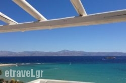 Blue Dolphin in Kefalonia Rest Areas, Kefalonia, Ionian Islands