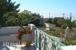 Villa Petri in Spetses Chora, Spetses, Piraeus Islands - Trizonia