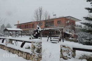 Ziakas Rooms_holidays_in_Room_Macedonia_Grevena_Perivolaki