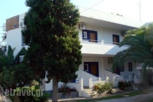 Electra Studios_travel_packages_in_Crete_Chania_Palaeochora