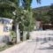 Camping Kea_accommodation_in_Hotel_Cyclades Islands_Kea_Ioulis