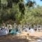 Camping Kea_best deals_Hotel_Cyclades Islands_Kea_Ioulis