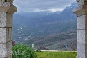 Aberratio Boutique Hotel_best prices_in_Hotel_Epirus_Ioannina_Aristi