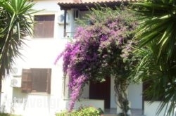 Hotel Elytis in Pinakates, Magnesia, Thessaly