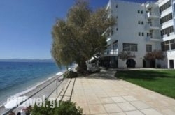Siagas Beach Hotel in Edipsos, Evia, Central Greece