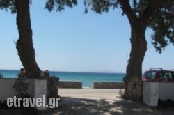 Fabio Studios in Antiparos Rest Areas, Antiparos, Cyclades Islands