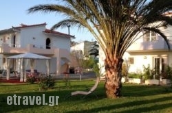 7Syn7 in Aigina Rest Areas, Aigina, Piraeus Islands - Trizonia