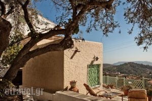 Villa Thetis_lowest prices_in_Villa_Dodekanessos Islands_Karpathos_Karpathos Chora