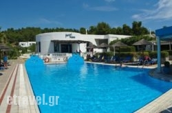 Musses in Ioannina City, Ioannina, Epirus