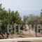 Jimmy Anna Apartments_best prices_in_Apartment_Aegean Islands_Samos_Samosst Areas