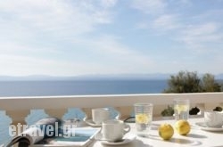 Apollon Apartments in Malia, Heraklion, Crete