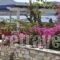 Studios Antiparos Beach_travel_packages_in_Cyclades Islands_Antiparos_Antiparos Rest Areas