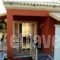 Villa Grecia_holidays_in_Villa_Ionian Islands_Corfu_Afionas