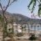 Lefkosia Studios_accommodation_in_Hotel_Dodekanessos Islands_Karpathos_Karpathosora