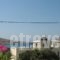 Lefkosia Studios_best prices_in_Hotel_Dodekanessos Islands_Karpathos_Karpathosora
