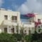 Lefkosia Studios_lowest prices_in_Hotel_Dodekanessos Islands_Karpathos_Karpathosora
