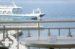 Palatino in  Markopoulo, Attica, Central Greece