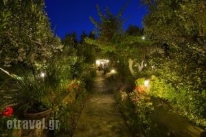 Harry'S Paradise_best prices_in_Hotel_Dodekanessos Islands_Kalimnos_Kalimnos Chora