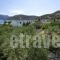 Harry'S Paradise_best deals_Hotel_Dodekanessos Islands_Kalimnos_Kalimnos Chora
