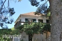 Villa eleni in Naxos Rest Areas, Naxos, Cyclades Islands