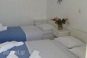 Galatis Hotel_lowest prices_in_Hotel_Cyclades Islands_Paros_Paros Rest Areas
