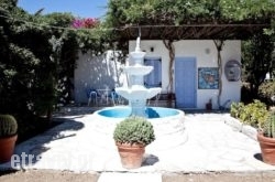 Prasino Oniro in Paros Chora, Paros, Cyclades Islands