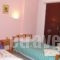 Studios Anna_accommodation_in_Hotel_Ionian Islands_Zakinthos_Laganas