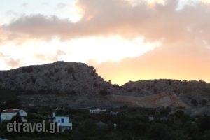 Afroditi Studios_lowest prices_in_Hotel_Dodekanessos Islands_Rhodes_Stegna