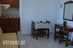 Studios G. Salteris in Naxos Rest Areas, Naxos, Cyclades Islands