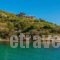 Thalassokipos_best deals_Hotel_Macedonia_Halkidiki_Chalkidiki Area