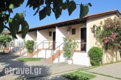 Alexandra Makris Gialos Studios in Ierapetra, Lasithi, Crete