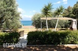 Peter’S Village in Zagora, Magnesia, Thessaly