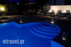 Zoumis Studios in Naxos Chora, Naxos, Cyclades Islands