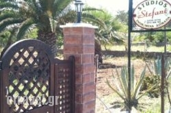 Studios Stefani in Arta City, Arta, Epirus