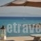 Sea Concept_best prices_in_Hotel_Piraeus Islands - Trizonia_Aigina_Vagia