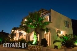 Elpiniki in Syros Rest Areas, Syros, Cyclades Islands