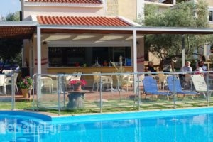 Elea_travel_packages_in_Crete_Chania_Daratsos