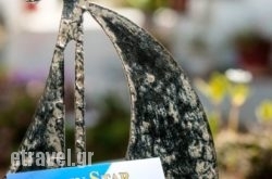 Golden Star Apartments in Kissamos, Chania, Crete