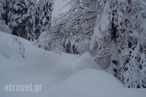 Hotel Katafigio_lowest prices_in_Hotel_Thessaly_Trikala_Trikala City